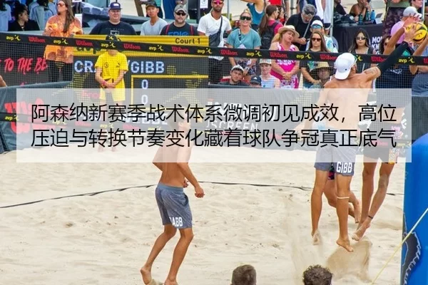 a-sen-na-xin-sai-ji-zhan-shu-ti-xi-wei-diao-chu-jian-cheng-xiao-gao-wei-ya-po-yu-zhuan-huan-jie-zou-bian-hua-cang-zhe-2-216.jpg